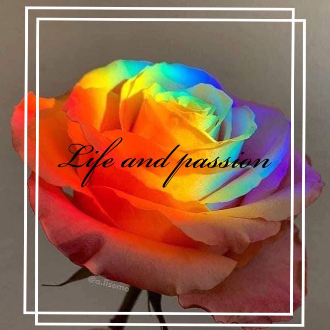 Life and passion